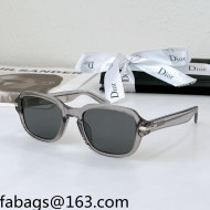 Dior Blacksuit Sunglasses Light Grey/Dark Grey 2022