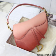 Dior Saddle Bag in Pink Gradient Calfskin 2021