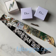 Dior Garden Twill Silk Bandeau Mitzah Scarf Black 2020