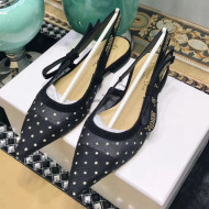 Dior "J'Adior" Ballet Shoe in Dotted Swiss Black 2018