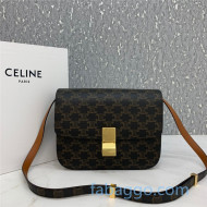 Celine Medium Classic Bag in Triomphe Canvas 8007 2020 (Top quality)