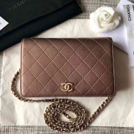Chanel Wallet on Chain WOC Bag in Metallic Calfskin with Resin CC 2018