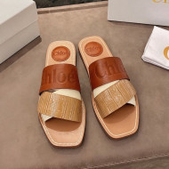 Chloe Leather Strap Flat Slide Sandals Brown 2021