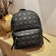 Dior Large Backpack in Black Cannage Lambskin 2021