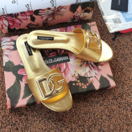 Dolce & Gabbana DG Metallic Leather Flat Slide Sandals Gold 2021