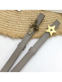 Dior Calfskin D-BEE Belt 30mm with Star/Bee Buckle Grey 2020