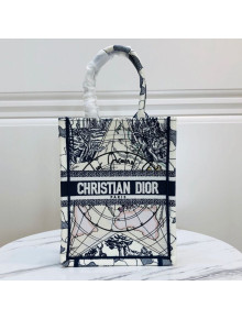 Dior Vertical Book Tote in Around the World Star Embroidery Blue/Multicolor 2020