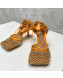 Bottega Veneta Sparkle Stretch Crystal Mesh Sandals 9cm Orange 2022