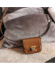 Celine Mini Triomphe Bag in Shiny Calfskin 10I513 Brown 2022