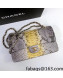 Chanel Pythonskin Embossed Leather Medium Calssic Flap Bag A01112 Gray/Yellow 2022 04
