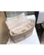 Chanel Lambskin 19 Small Flap Bag AS1160 Light Apricot 2019