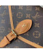 Louis Vuitton Large LV Ivy Monogram Canvas Top Handle Bag M44919 2020 
