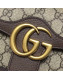 Gucci GG Leather Marmont Matelassé Mini Bag ‎446744 Beige/Brown 2019