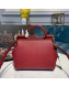 Dolce&Gabbana Classic Medium Sicily Palm-Grained Leather Top Handle Bag Red