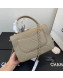 Chanel Maxi Quilted Lambskin Small Flap Bag with Top Handle Bag A92236 Gray 2019