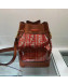 Fendi Transparent Mon Tresor Bucket Bag Brown/Red 2019