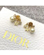 Dior Star Pearl Pendant Short Earrings 2019