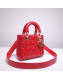 Dior Lady Dior Bag 20cm in Cannage Lambskin Red 2019