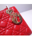 Dior Lady Dior Bag 20cm in Cannage Lambskin Red 2019