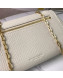 Bottega Veneta Grained Calfskin Mini BV Angle Chain Bag White 2019