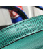 Louis Vuitton Twist MM Epi Leather Top Handle Bag M50282 Green/Blue 2019