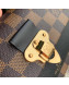 Louis Vuitton Vavin Damier Ebene Canvas Chain Wallet WOC N60221 Black 2019
