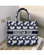 Dior Medium Book Tote Bag in Blue and White Star Etoile Embroidery M1286 2022 23