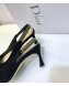 Dior Strassy Suede Crystal Slingback Heel Pump Black 2019