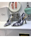 Dior Toile de Jouy Print Silk Slingback High Heel Pump Blue 2019