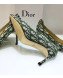 Dior J'adior D-Moi Point Heel 95mm Pump in Green Oblique Canvas 2019