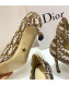 Dior J'adior D-Moi Point Heel 65mm Pump in Coffee Oblique Canvas 2019