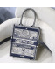 Dior Moon Vertical Dior Book Tote Bag in Tarot Embroidered Canvas 2019