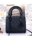 Dior Lady Dior Mini Bag in Ultra Matte Embossed Calfskin Black 2019