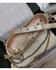 Chanel Iridescent Aged Calfskin Gabrielle Hobo Bag A93824 Pink/Khaki 2019