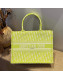 Dior Medium Book Tote Bag in Lime Green Oblique Embroidered Canvas 2021 M1286 