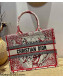 Dior Medium Book Tote Bag in Red and White D-Royaume d'Amour Embroidery 2021 M1286 