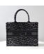 Dior Medium Book Tote Bag in Grey Multicolor Mizza Embroidery 2021