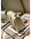 Dior 30 Montaigne CD Chain Flap Bag in Palm-Grained Calfskin White 2019
