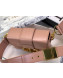 Dior 30 Montaigne CD Leather Mini Box Shoulder Bag Pink 2019