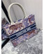 Dior Book Tote Small Bag in Toile de Jouy Pinted Calfskin and Studs 2019