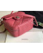 Chanel Quilted Vintage Leather Camera Case Bag AS1323 Pink 2020