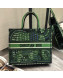 Dior Green Dior Book Tote in Elephant Animal Embroidered Canvas Bag 2020