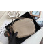 Saint Laurent Blogger Calfskin Mini Camera Shoulder Bag 425317 Light Grey 2019
