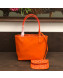 Goyard Anjou Mini Tote Bag Orange 2021 02