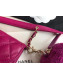 Chanel Quilted Lambskin Waist/Belt and Coin Purse AP0743 Fuchsia 2020