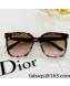 Dior Nuance Sunglasses 2022 83