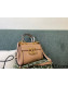 Valentino Medium Alcove Handbag in Grainy Calfskin Apricot/Gold 3300